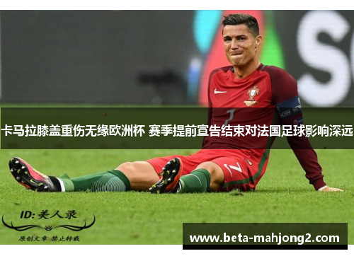 卡马拉膝盖重伤无缘欧洲杯 赛季提前宣告结束对法国足球影响深远 卡马拉膝盖重伤无缘欧洲杯 赛季提前宣告结束对法国足球影响深远