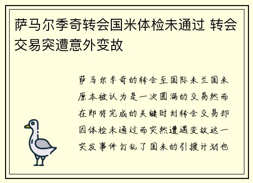 萨马尔季奇转会国米体检未通过 转会交易突遭意外变故
