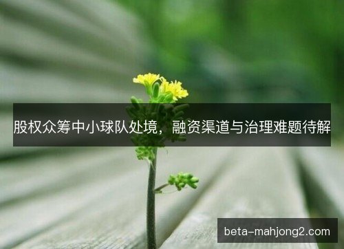 股权众筹中小球队处境，融资渠道与治理难题待解